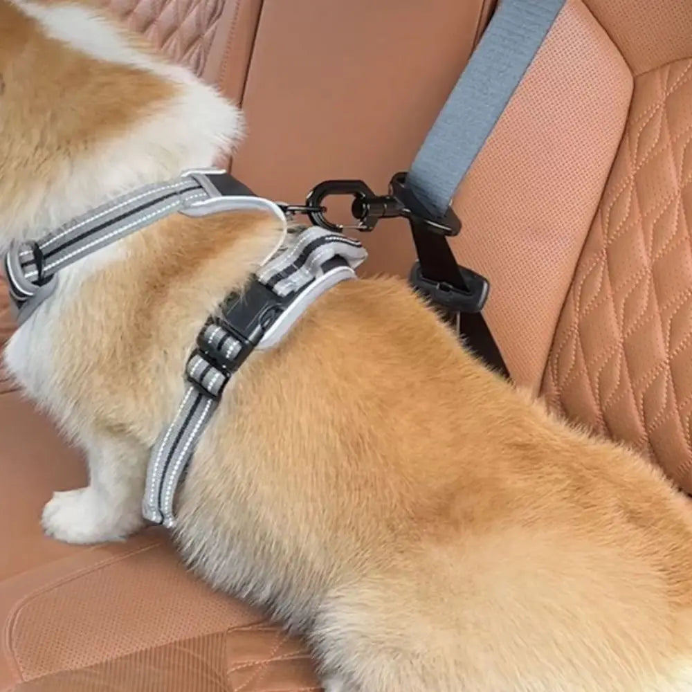 Anti-interference Pet Safety Buckle Easy to Use Sustainable Pet Travel Car Seat Hook Durable Dogs Locking Snap Seat Belts Travel