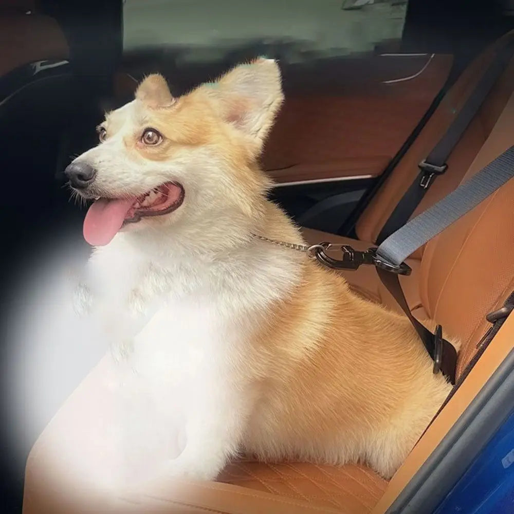 Anti-interference Pet Safety Buckle Easy to Use Sustainable Pet Travel Car Seat Hook Durable Dogs Locking Snap Seat Belts Travel