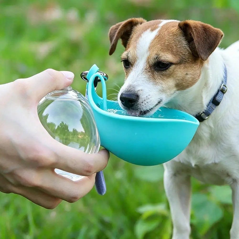 Portable Dog Water Bottle with Foldable Silicone Bowl, Leak-Proof Backflow,Large Capacity Pet Water Dispenser for Dogs & Cats